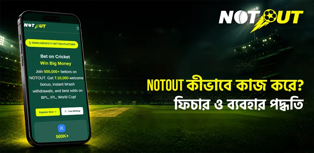 NOTOUT কীভাবে কাজ করে ফিচার ও ব্যবহার পদ্ধতি